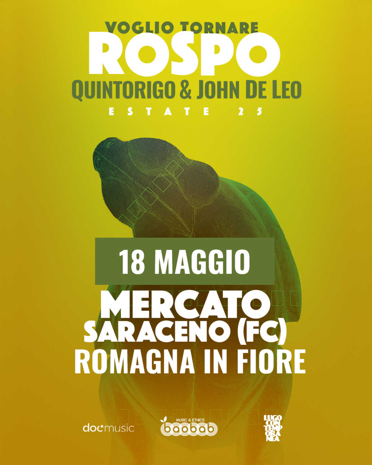 quintorigo mercato saraceno